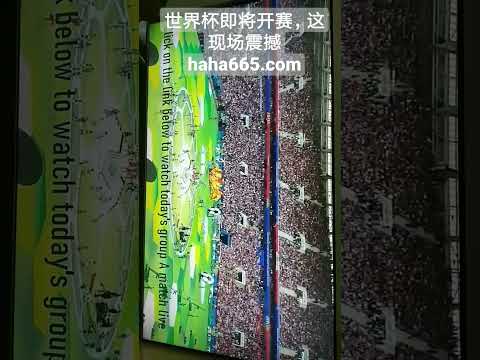 沙特裁判执,法前需谨慎,恐欠薪且错,欧博,oubo,Abg,欧博官网,欧博体育官网,欧博体育下载,欧博APP